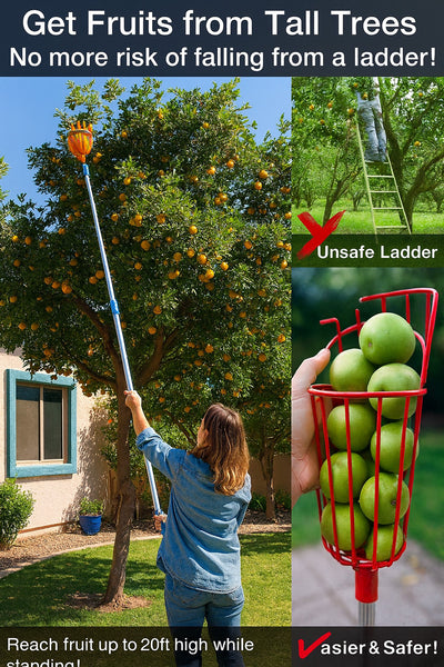 Telescoping Fruit Picker Tool with Basket –Extendable Pole for fruit picking 8ft