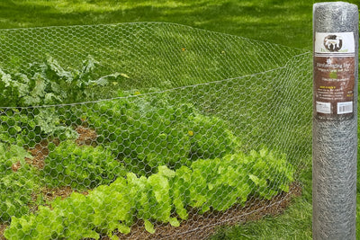 Hex Chicken Wire Fence Roll 3ft x 10 1/2" HEX Galvanized Garden Mesh Fence