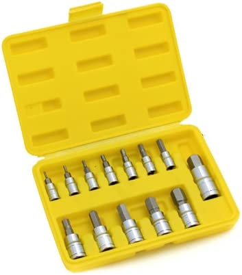 13PC SAE HEX SOCKET BIT SET